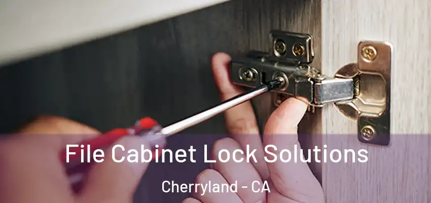  File Cabinet Lock Solutions Cherryland - CA