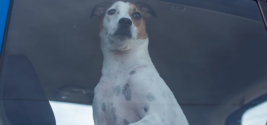 Car Lockout Solutions in Cherryland, California