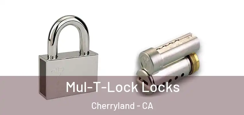  Mul-T-Lock Locks Cherryland - CA