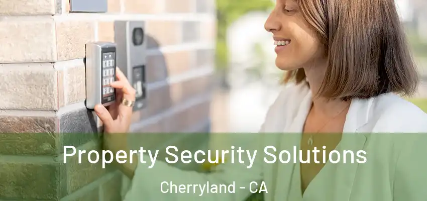  Property Security Solutions Cherryland - CA